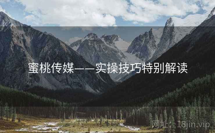 蜜桃传媒——实操技巧特别解读  第1张