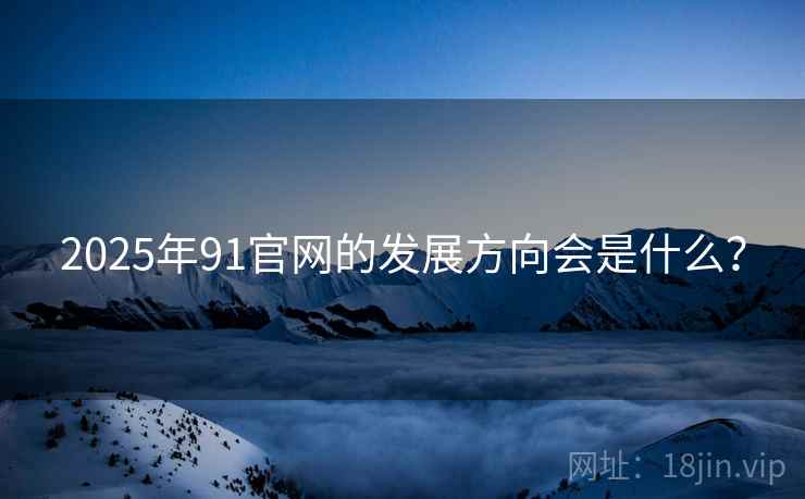 2025年91官网的发展方向会是什么？  第2张