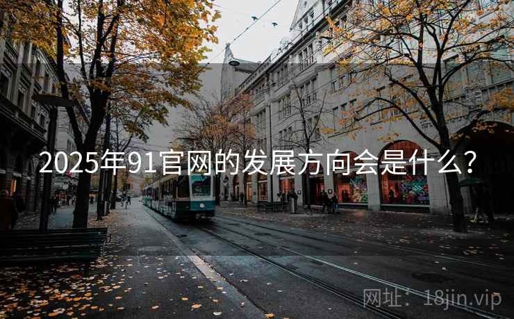 2025年91官网的发展方向会是什么？