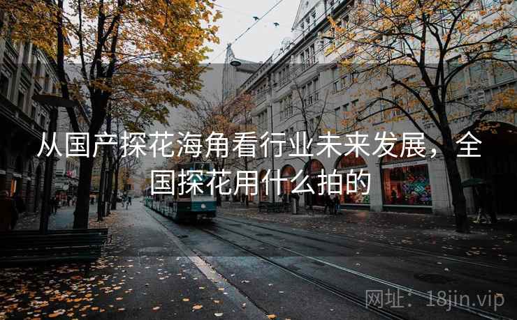 从国产探花海角看行业未来发展，全国探花用什么拍的