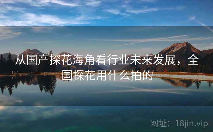 从国产探花海角看行业未来发展，全国探花用什么拍的