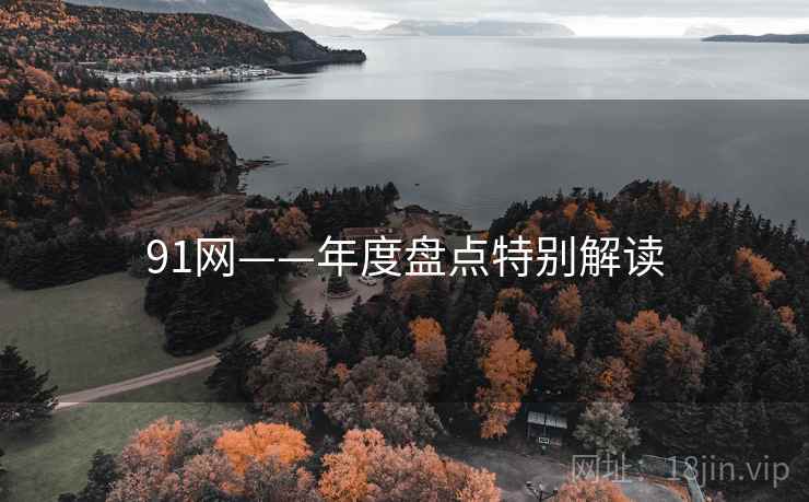 91网——年度盘点特别解读
