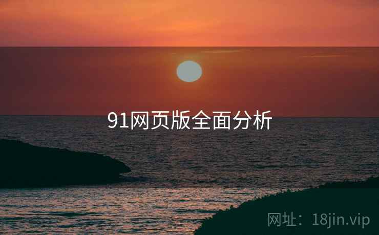 91网页版全面分析