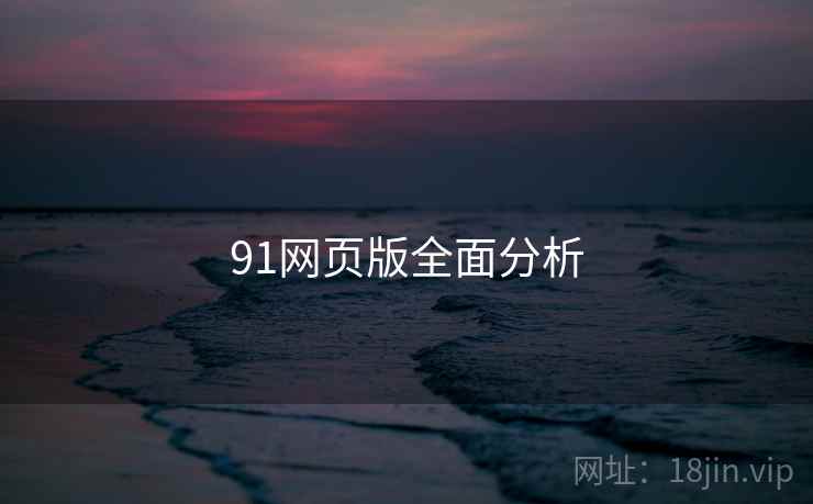91网页版全面分析