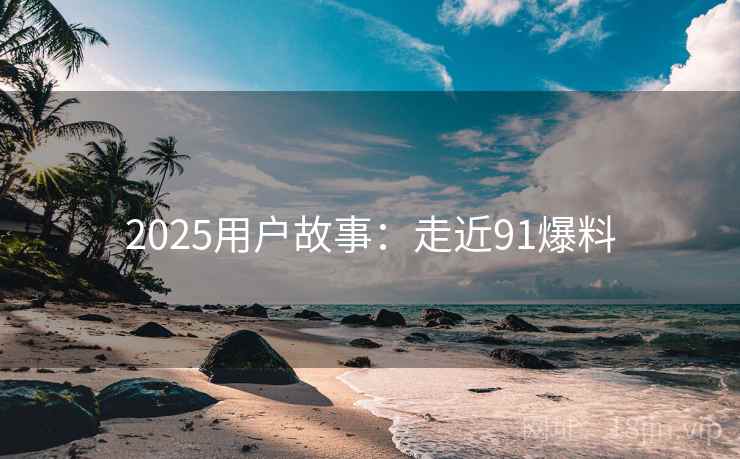 2025用户故事：走近91爆料