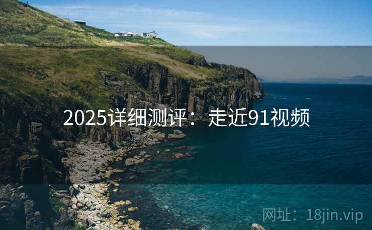 2025详细测评：走近91视频  第2张