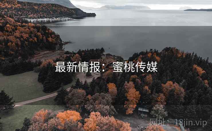 最新情报：蜜桃传媒  第2张