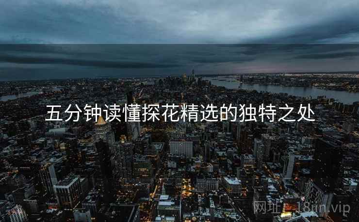 五分钟读懂探花精选的独特之处  第2张