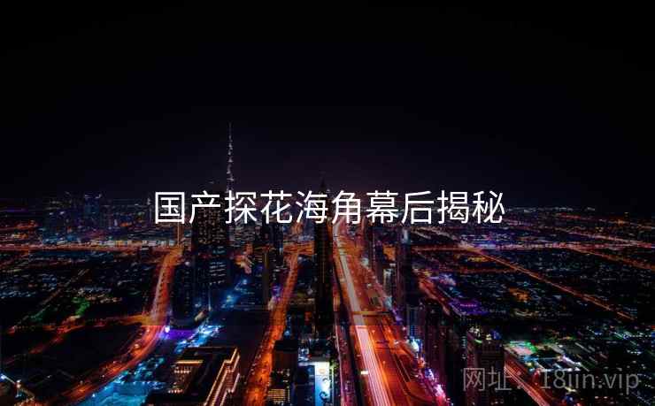 国产探花海角幕后揭秘  第1张