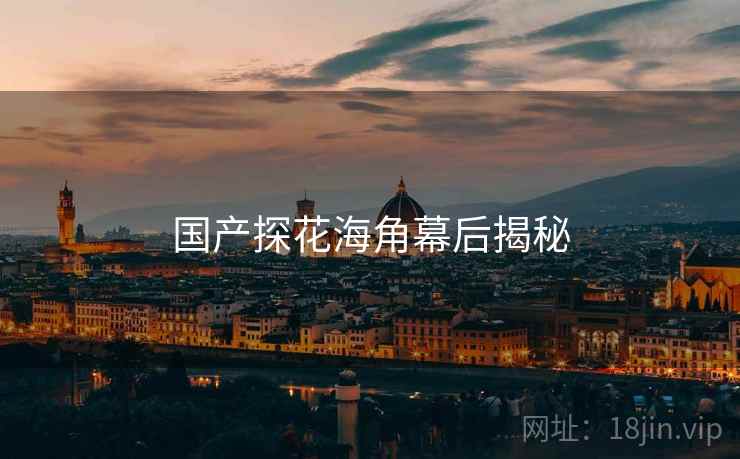 国产探花海角幕后揭秘  第2张