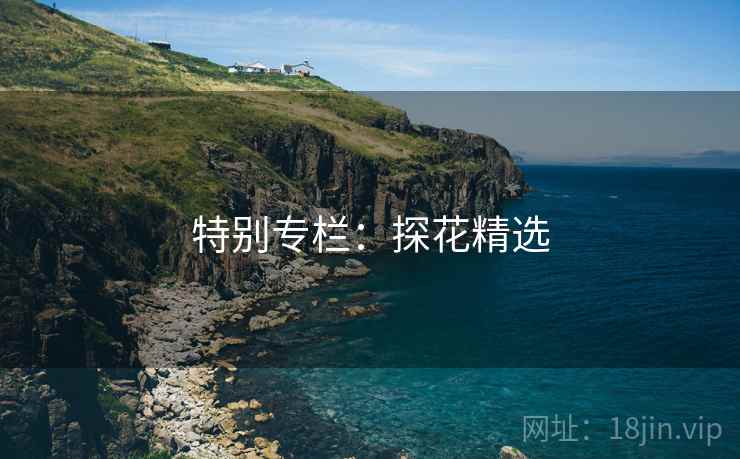 特别专栏：探花精选