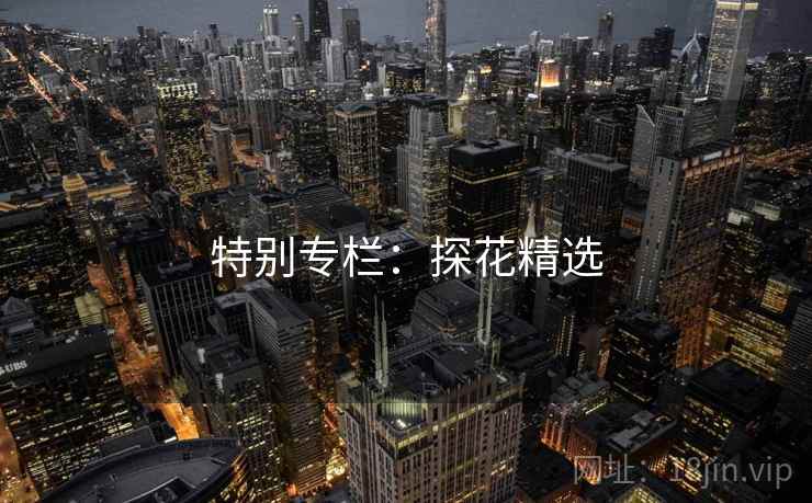 特别专栏：探花精选