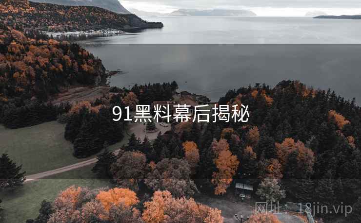91黑料幕后揭秘
