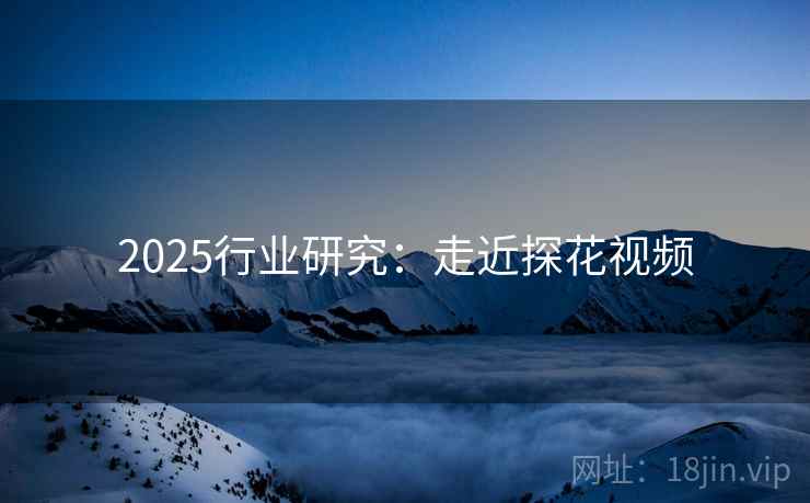 2025行业研究：走近探花视频