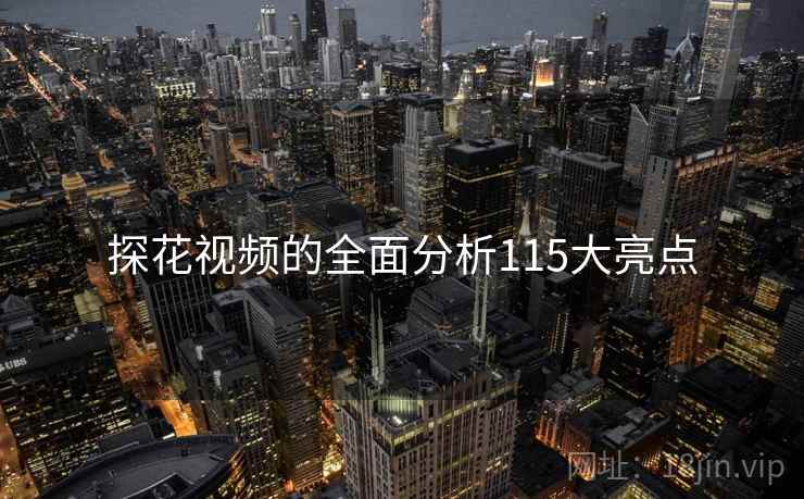 探花视频的全面分析115大亮点