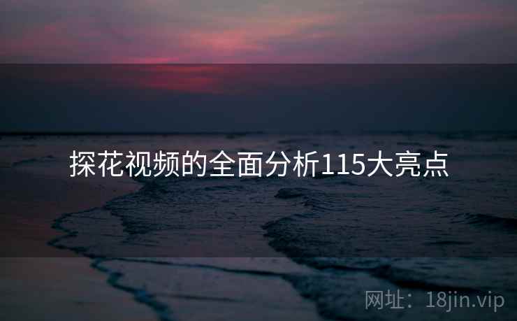 探花视频的全面分析115大亮点