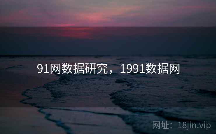 91网数据研究，1991数据网  第1张