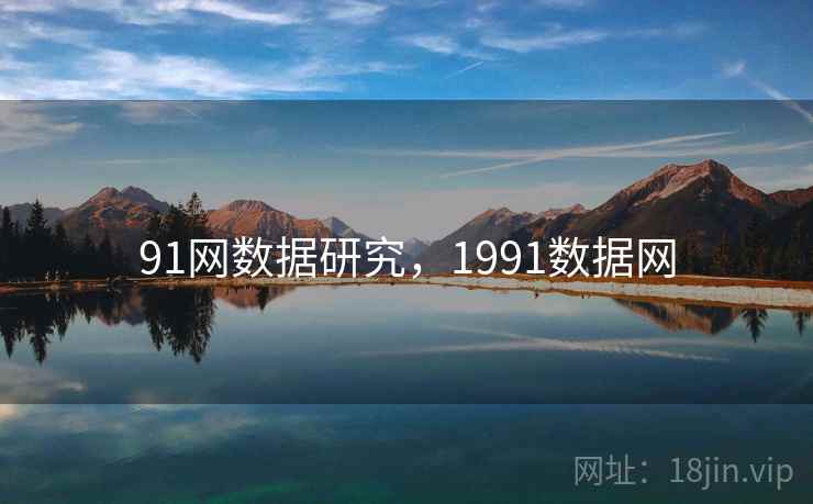 91网数据研究，1991数据网  第2张