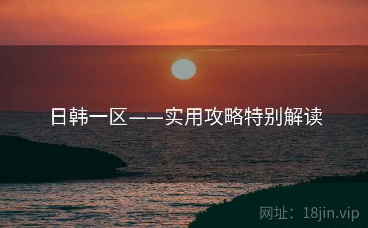 日韩一区——实用攻略特别解读  第1张