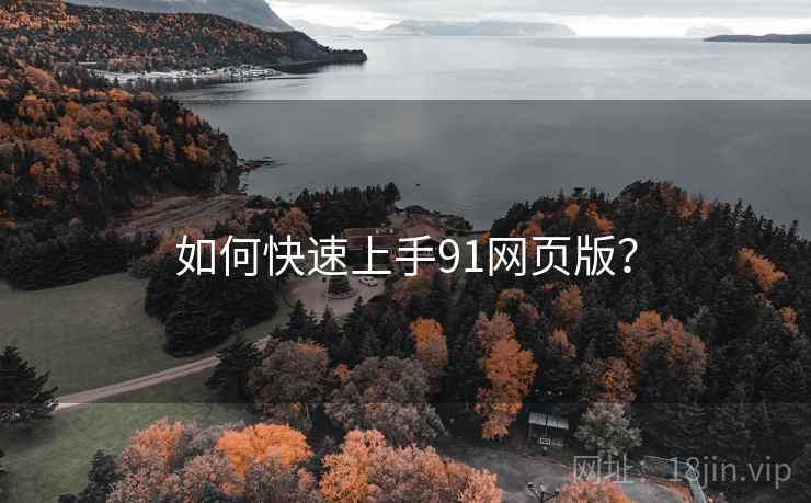 如何快速上手91网页版？