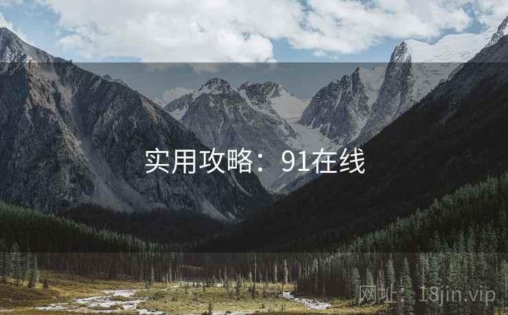 实用攻略：91在线  第2张