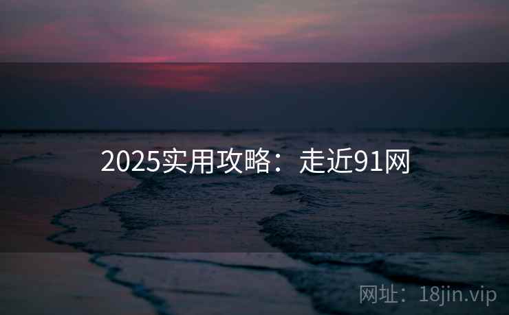2025实用攻略：走近91网