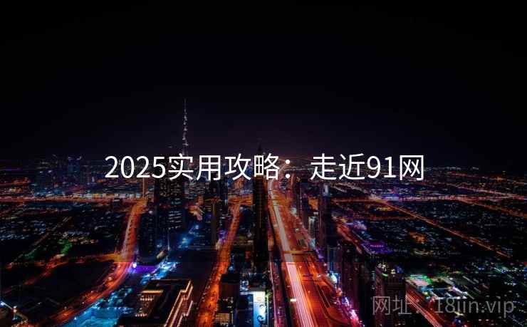 2025实用攻略：走近91网