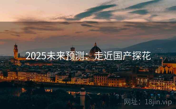 2025未来预测：走近国产探花