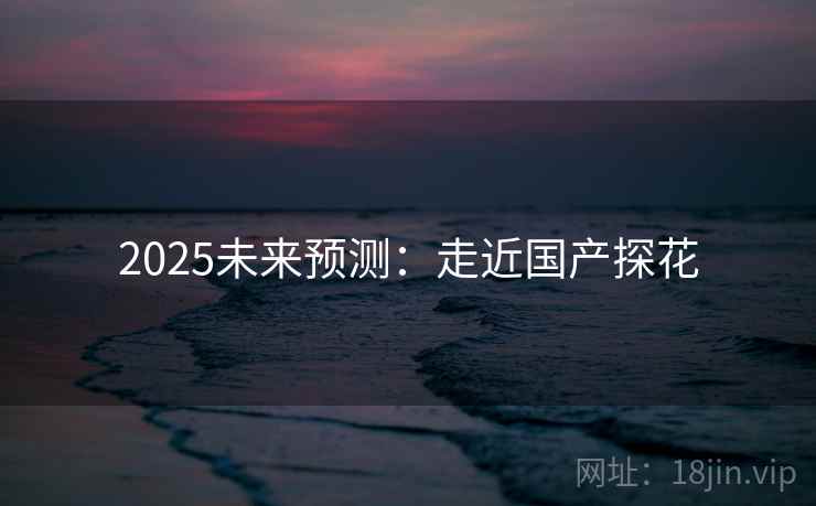 2025未来预测：走近国产探花