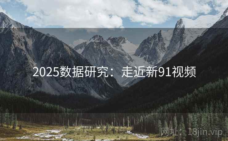 2025数据研究：走近新91视频
