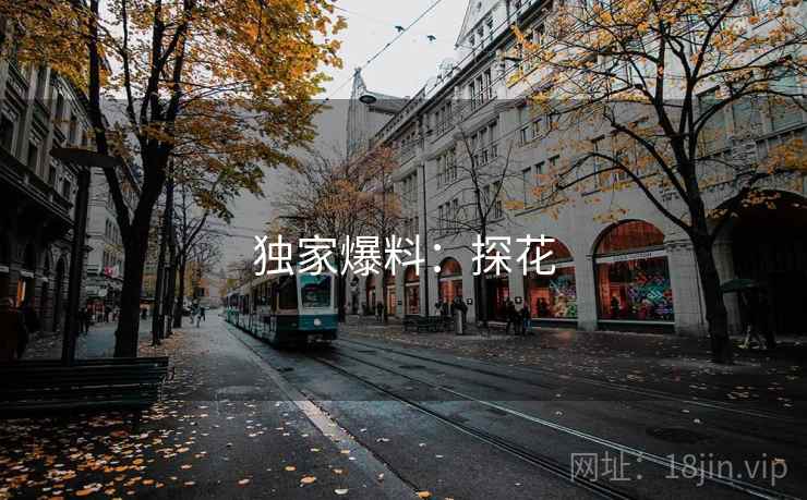 独家爆料：探花