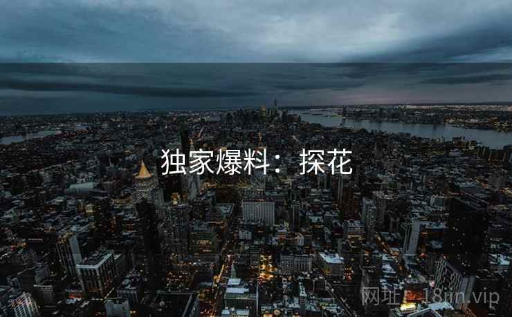 独家爆料：探花