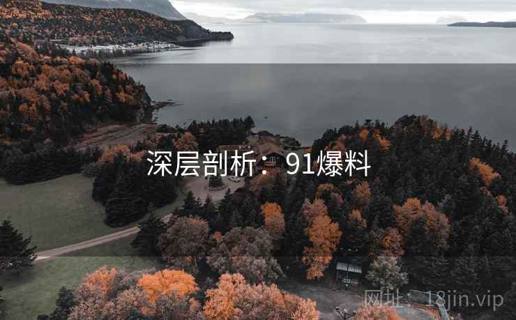 深层剖析：91爆料  第1张