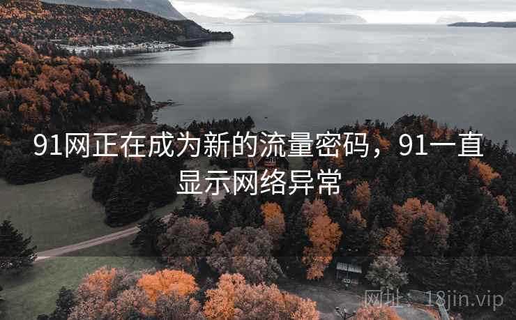 91网正在成为新的流量密码，91一直显示网络异常  第2张