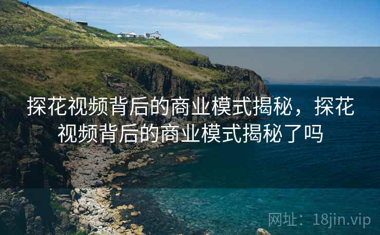 探花视频背后的商业模式揭秘，探花视频背后的商业模式揭秘了吗