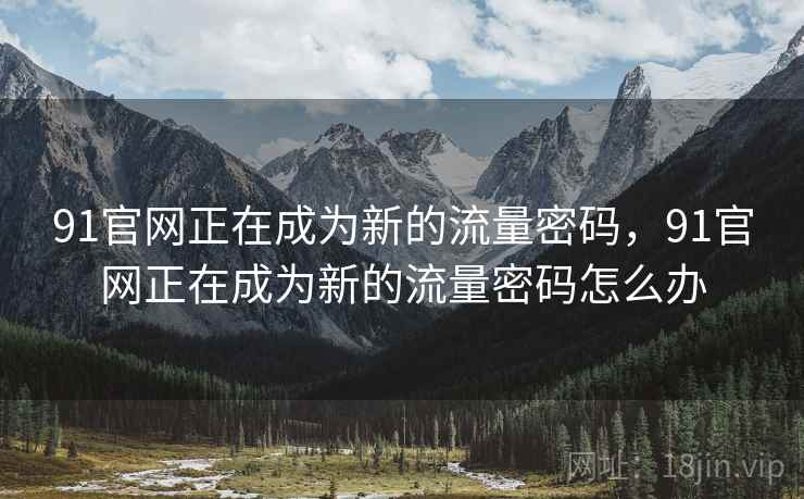 91官网正在成为新的流量密码，91官网正在成为新的流量密码怎么办
