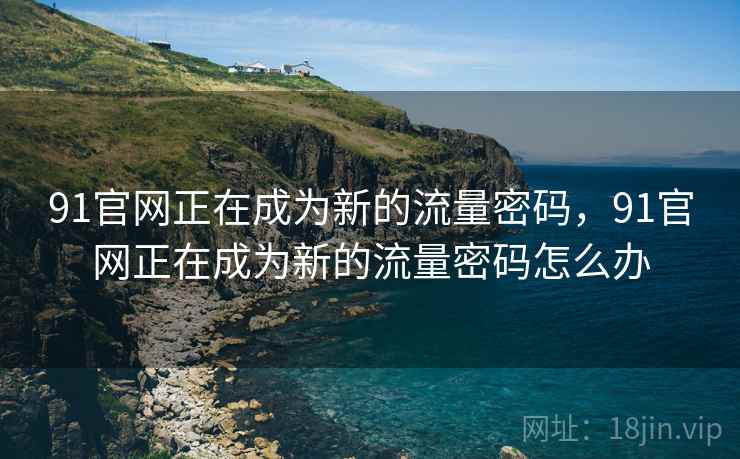 91官网正在成为新的流量密码，91官网正在成为新的流量密码怎么办