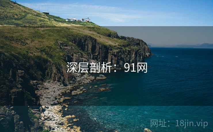 深层剖析：91网  第1张