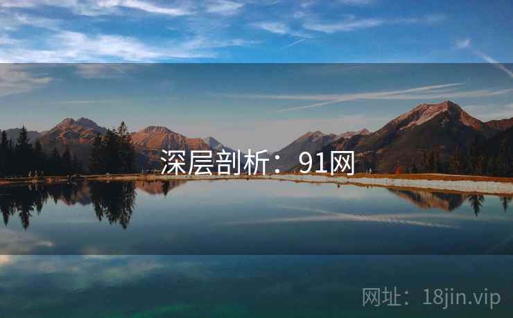 深层剖析：91网  第2张
