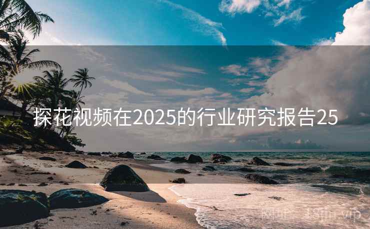 探花视频在2025的行业研究报告25