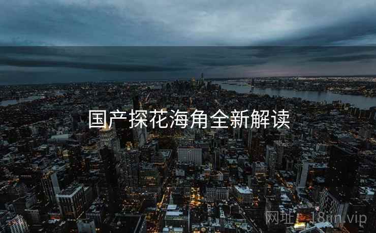 国产探花海角全新解读