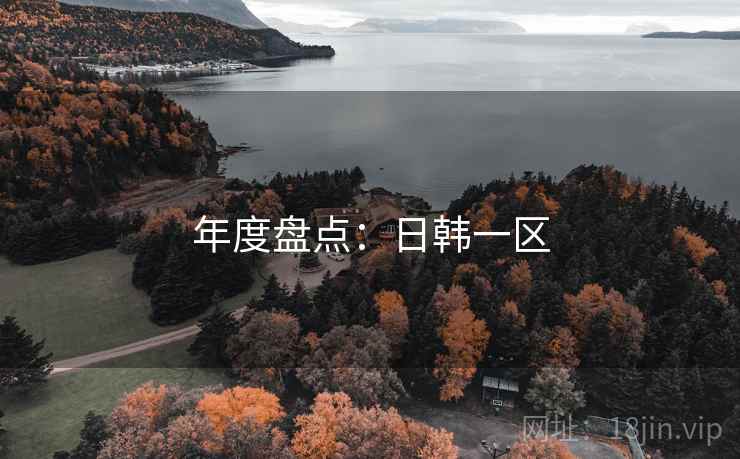 年度盘点：日韩一区