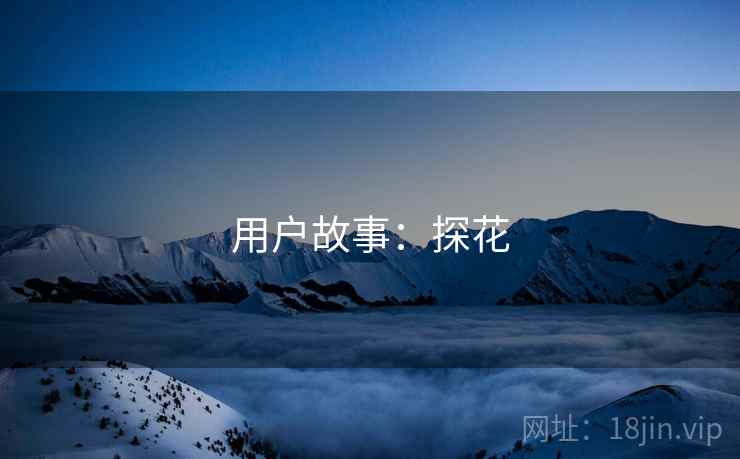 用户故事：探花