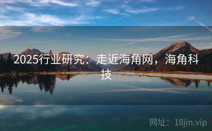 2025行业研究:走近海角网,海角科技