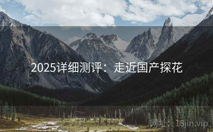 2025详细测评：走近国产探花