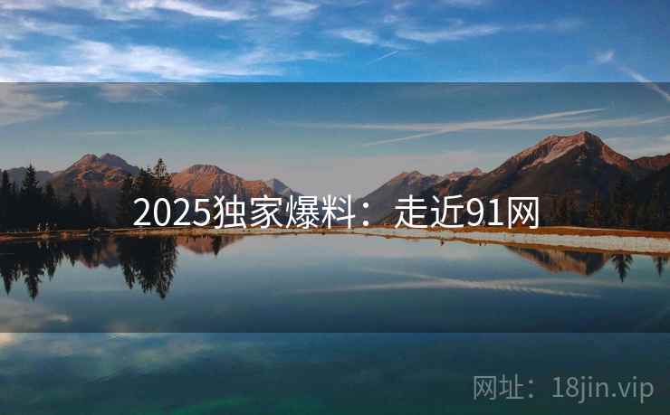 2025独家爆料：走近91网
